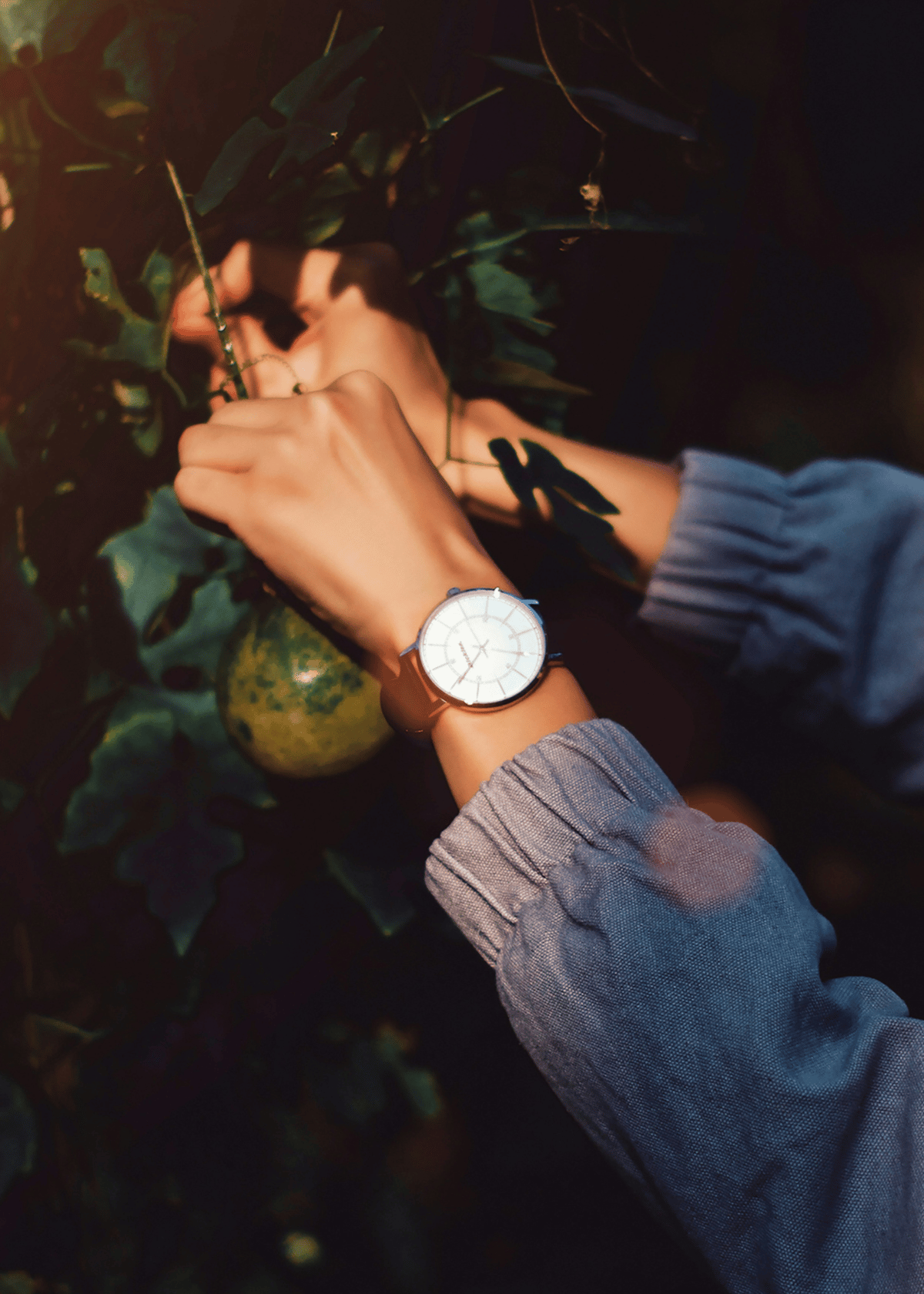 Invicta Angel Watch: A Heavenly Accessory for Your Wrist
