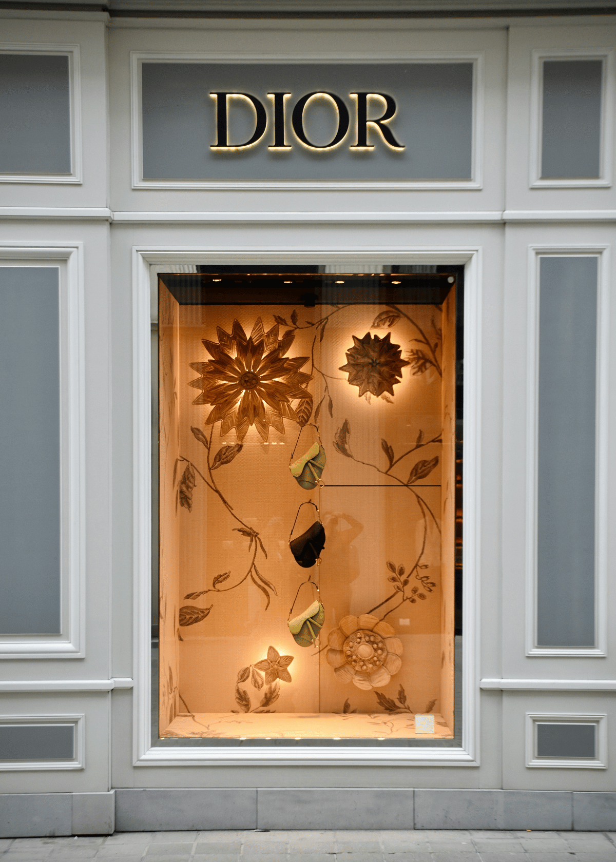 Dior Watch: A Timeless Accessory Reviewed