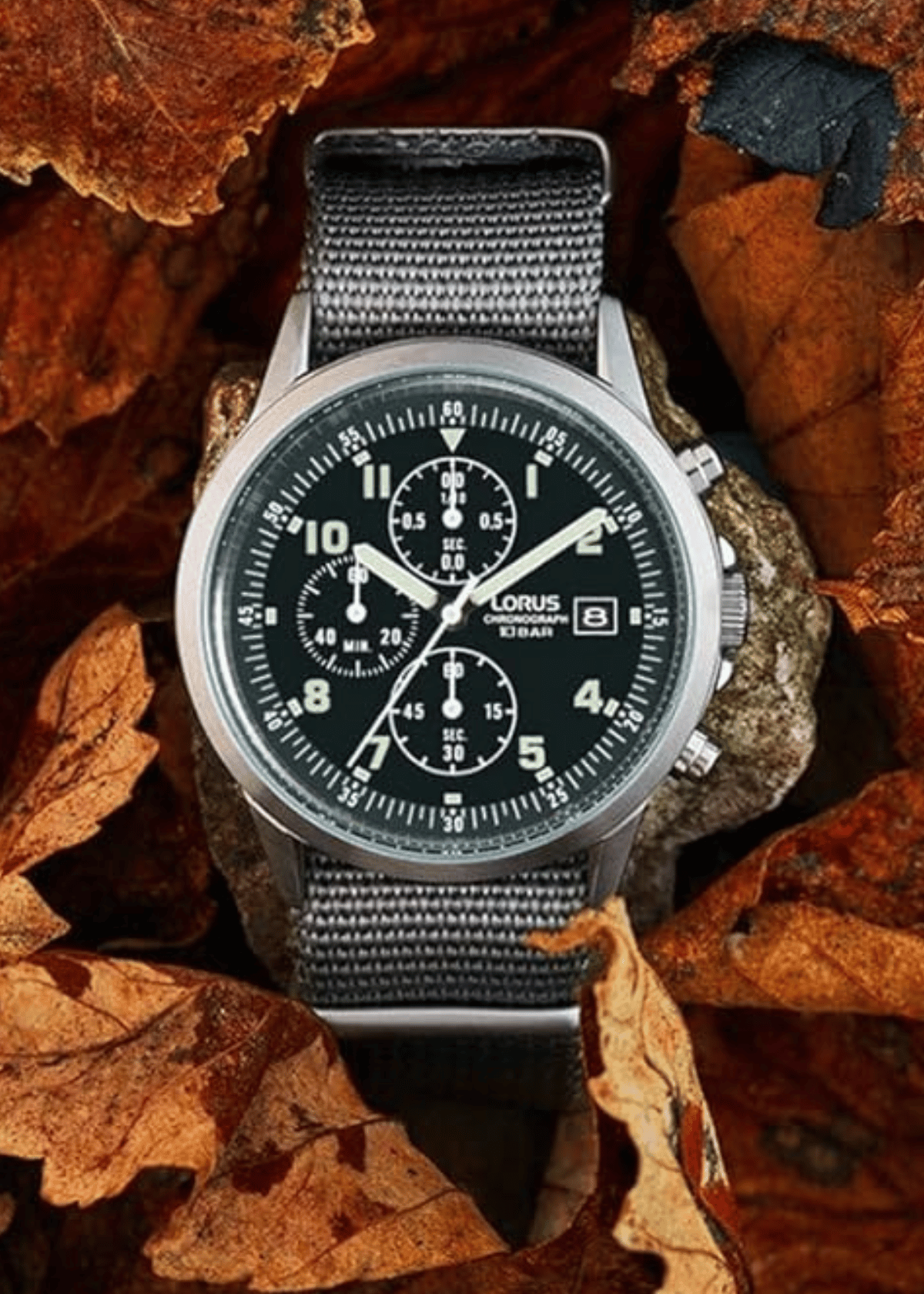 Lorus Watches: Quality & Reliability